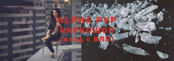 прущие грибы Пересвет