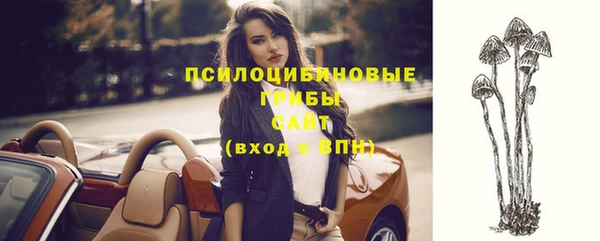 2c-b Алзамай