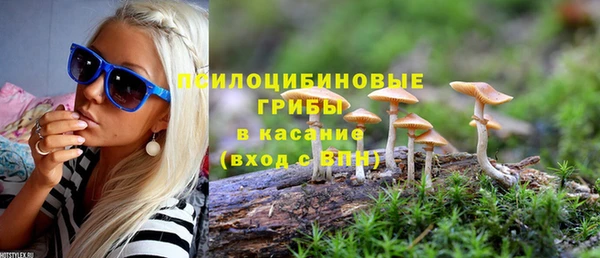 спайс Алексин