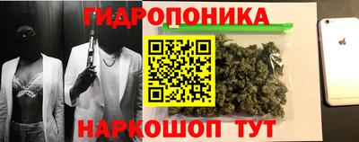 PSILOCYBIN Кимры