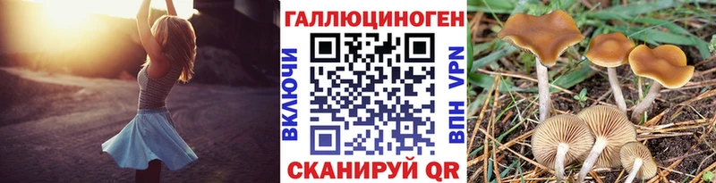 Псилоцибиновые грибы прущие грибы хочу Лесосибирск