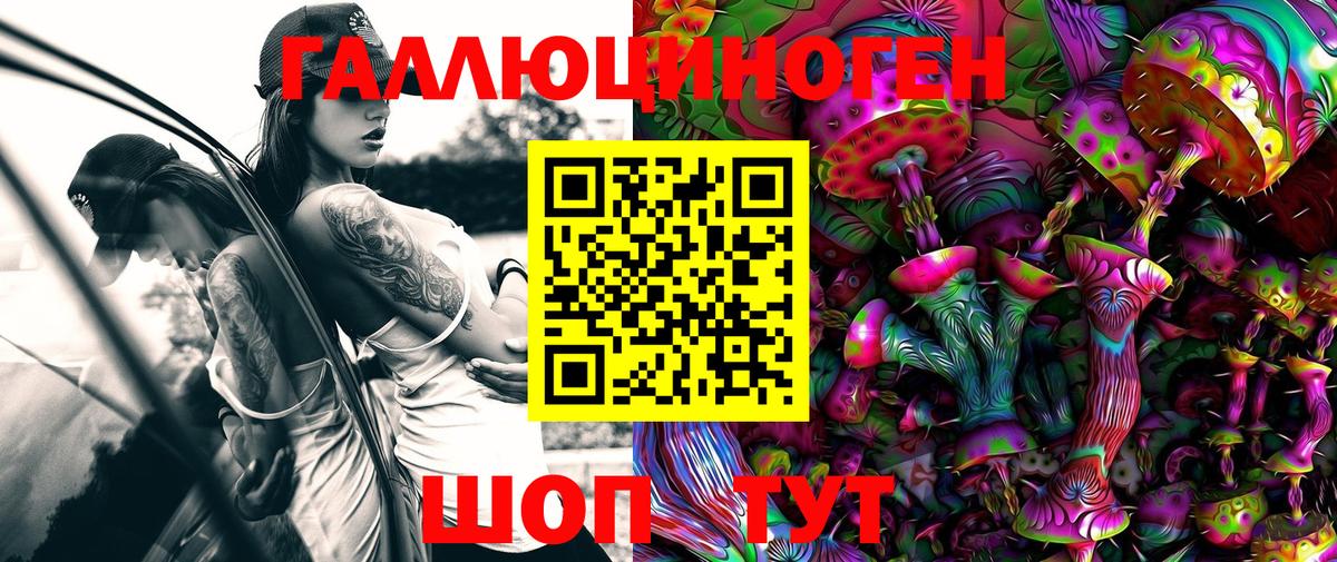 Галлюциногенные грибы GOLDEN TEACHER Лесосибирск