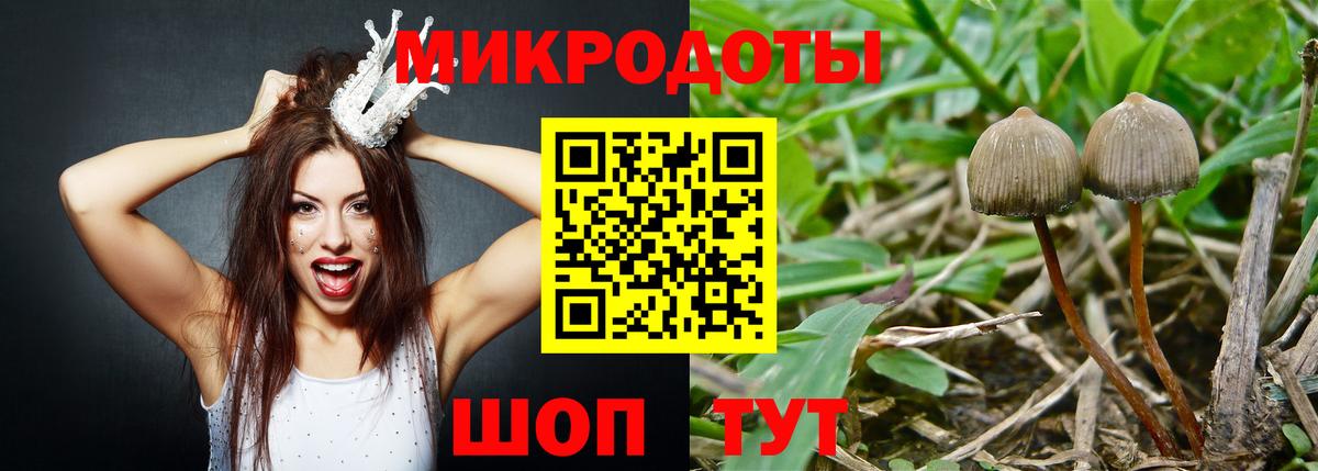 Псилоцибиновые грибы Psilocybe  где можно купить наркотик  Лесосибирск  Вход с VPN  Псилоцибиновые грибы Psilocybine cubensis 