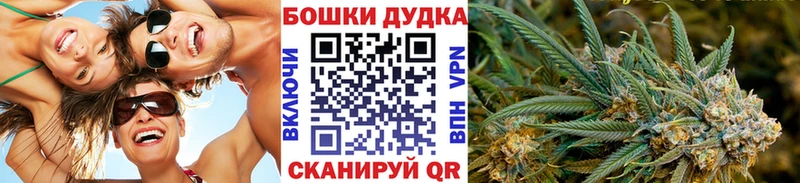 Бошки марихуана конопля  Лесосибирск 